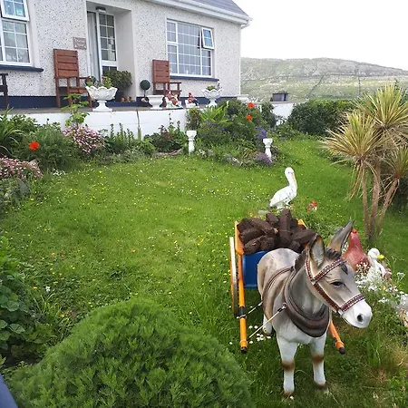 住宿加早餐酒店 Tranaun Beach House Inishturk Island